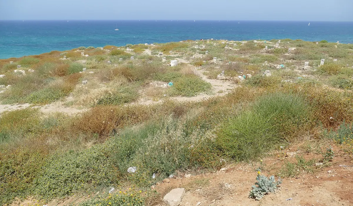 Sidna Ali Mosque with its minaret and dome on the cliff above the sea at Herzliya